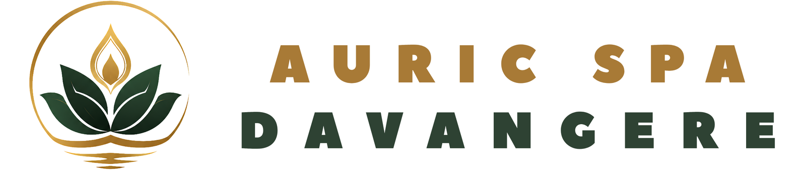 Auric Spa Davangere
